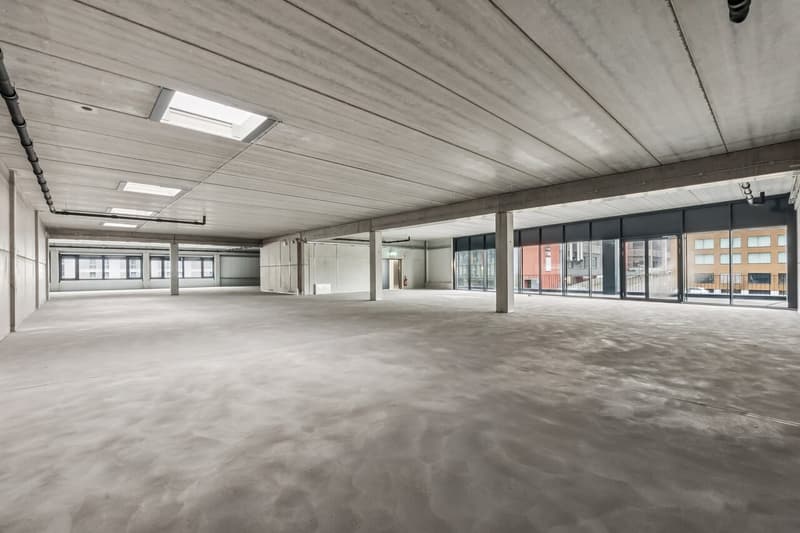 Vielseitige Bürofläche mit Terrasse (7)