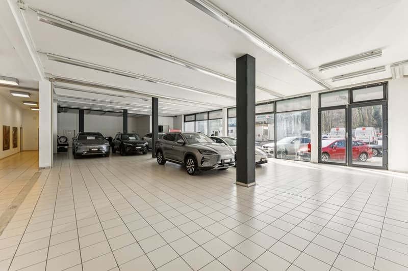 Verkaufsfläche/Showroom zum Vermieten! (2)
