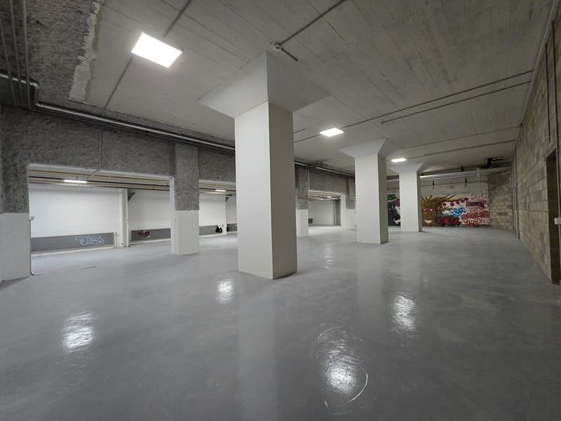 Grand dépôt 295m2 - Excellente situation - Blécherette (3)