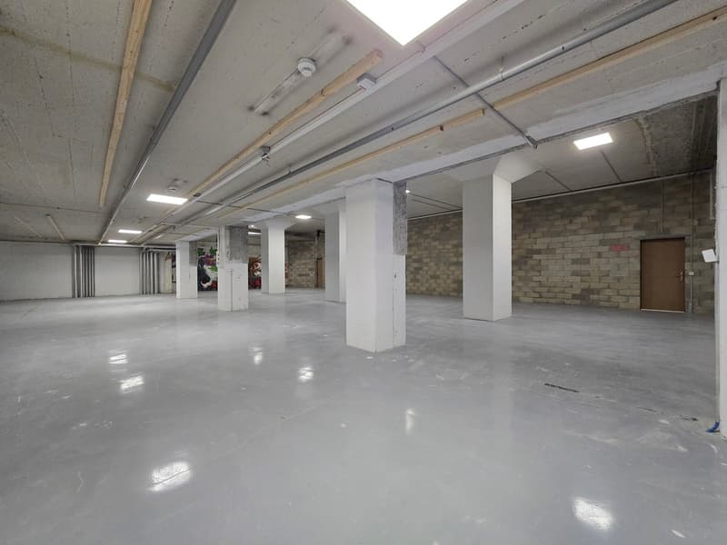 Grand dépôt 295m2 - Excellente situation - Blécherette (4)