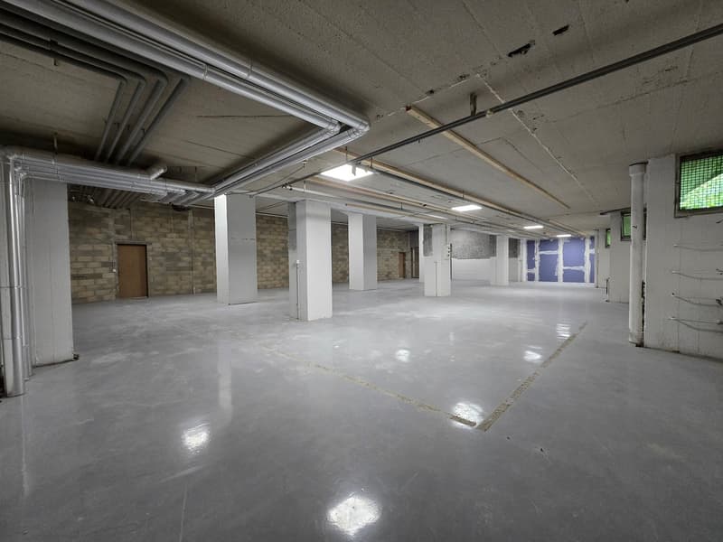 Grand dépôt 295m2 - Excellente situation - Blécherette (5)