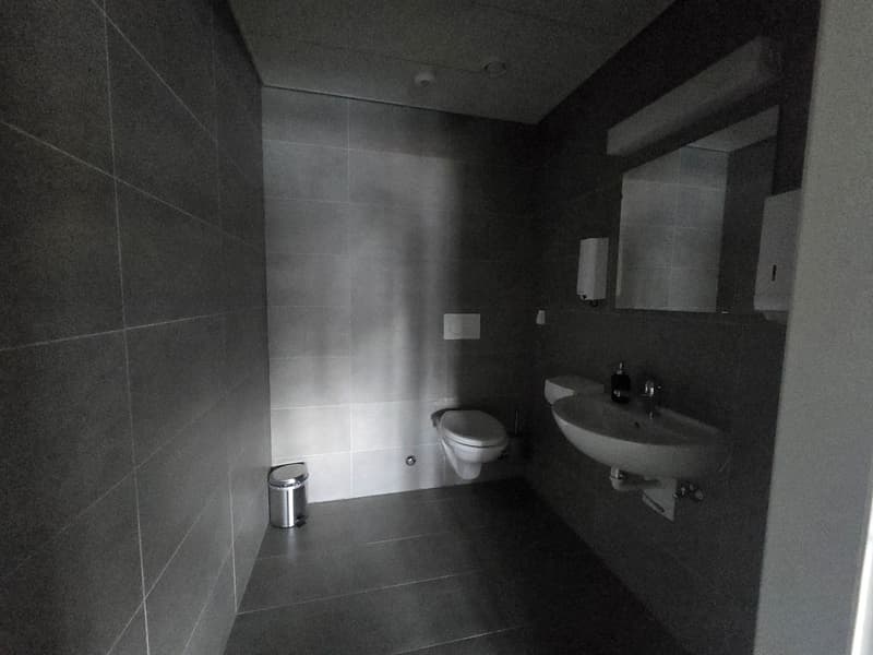 Bureau 135m2 - Mont-sur-Lausanne (4)