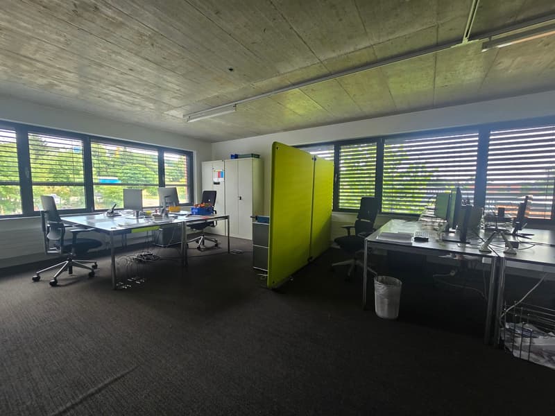 Bureau 135m2 - Mont-sur-Lausanne (7)