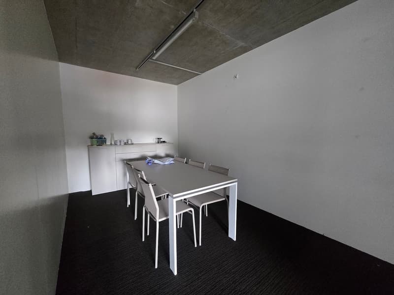 Bureau 135m2 - Mont-sur-Lausanne (9)