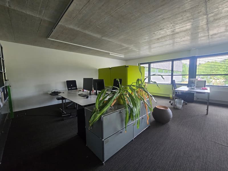 Bureau 135m2 - Mont-sur-Lausanne (6)