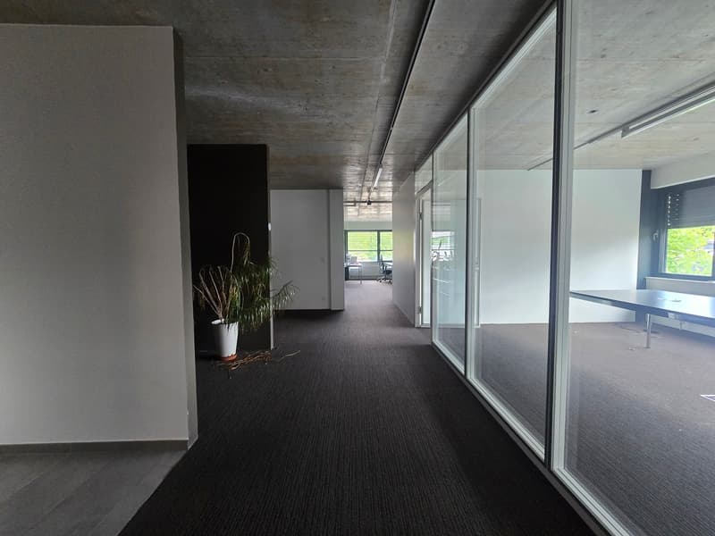 Bureau 135m2 - Mont-sur-Lausanne (3)