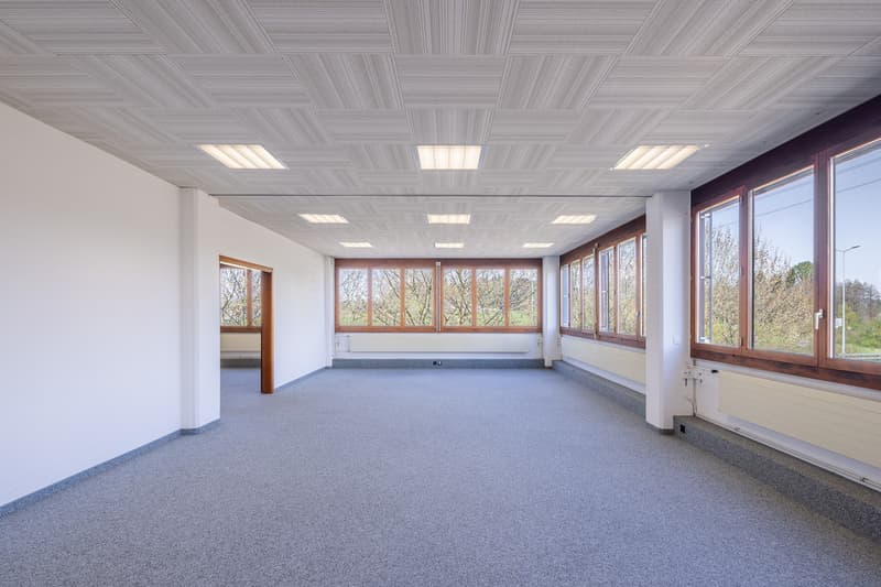 Helle Bürofläche im Industriequartier (2)
