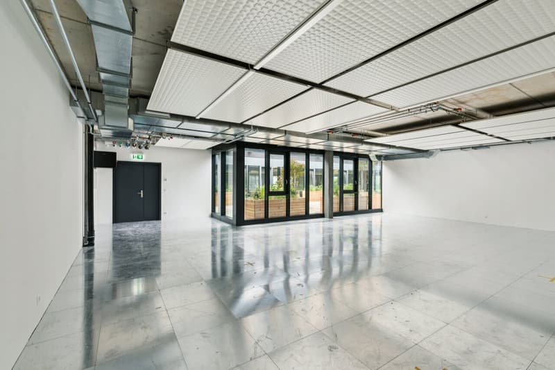 SPARK - 105.6 m2 - Espace Atelier Plug & Play à Gland (2)