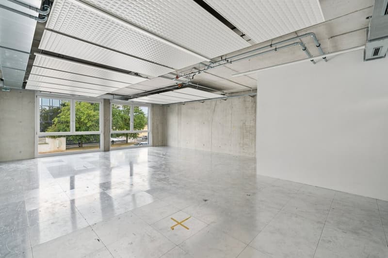 SPARK - 76.1 m2 - Espace Atelier Plug & Play à Gland (3)