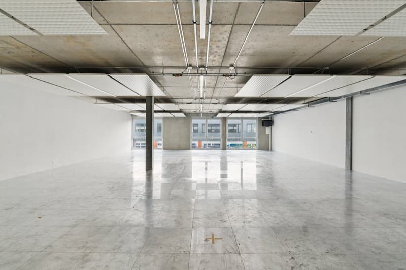 SPARK - 189.2 m2 - Espace Atelier Plug & Play à Gland (3)