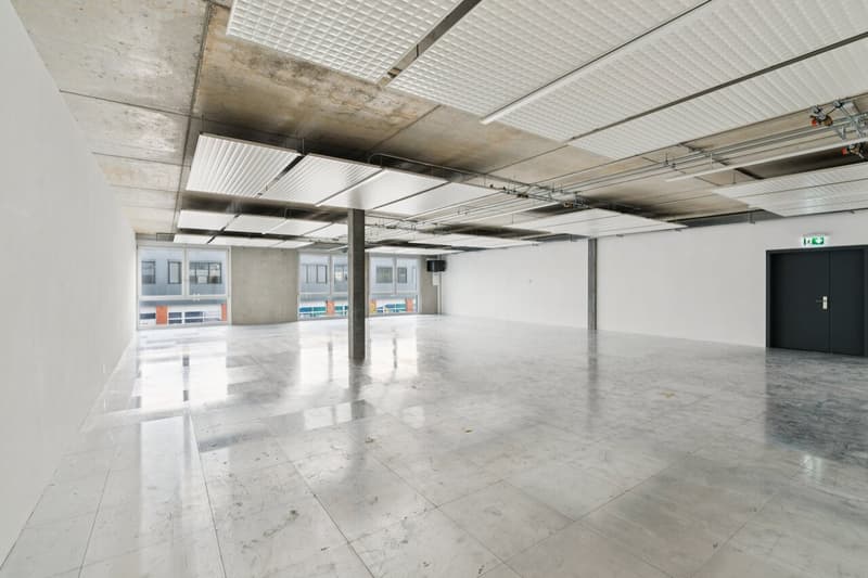 SPARK - 189.2 m2 - Espace Atelier Plug & Play à Gland (5)