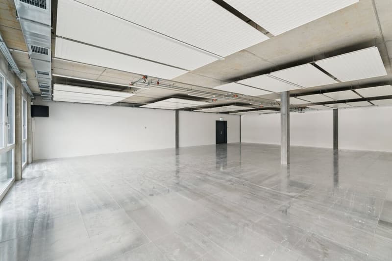 SPARK - 189.2 m2 - Espace Atelier Plug & Play à Gland (4)