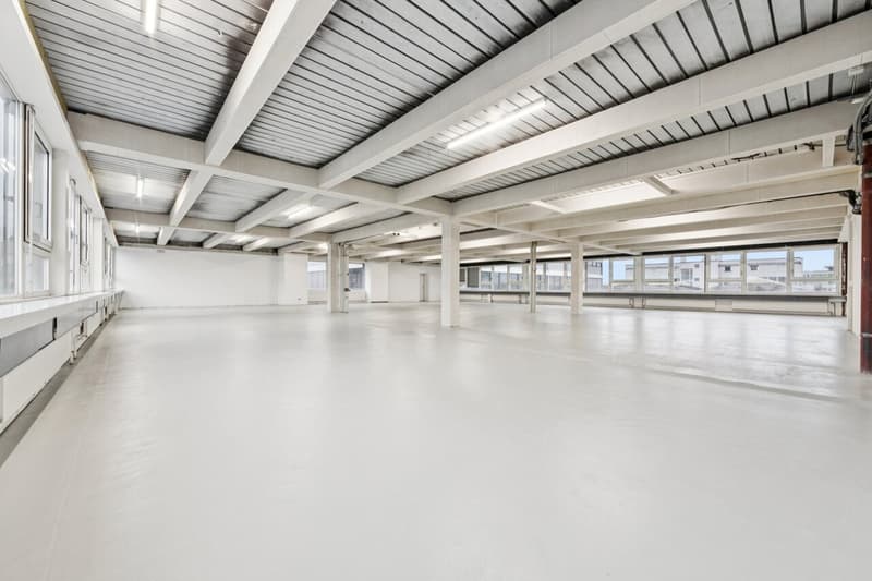 Gewerbefläche oder Atelier mit Büro- und Produktionsteil (1)