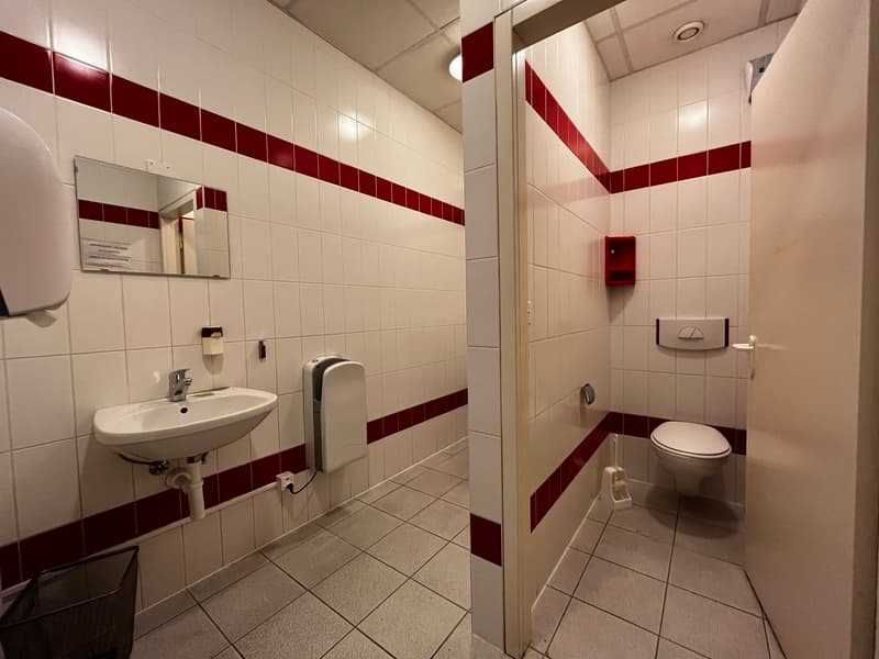 Surface de 555m2 - showroom - bureaux ou locaux (6)