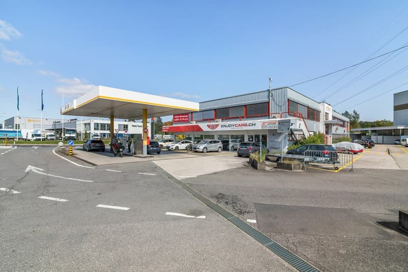 Surface de 555m2 - showroom - bureaux ou locaux (2)