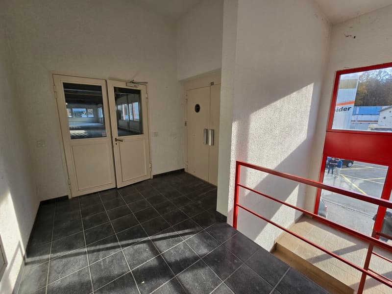 Surface de 555m2 - showroom - bureaux ou locaux (5)
