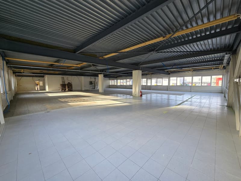 Surface de 555m2 - showroom - bureaux ou locaux (4)