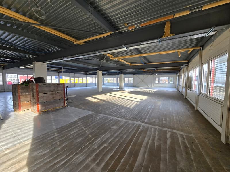 Surface de 555m2 - showroom - bureaux ou locaux (3)