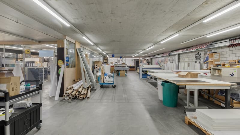 Repräsentative Liegenschaft für Gewerbe, Logistik und Büro (9)