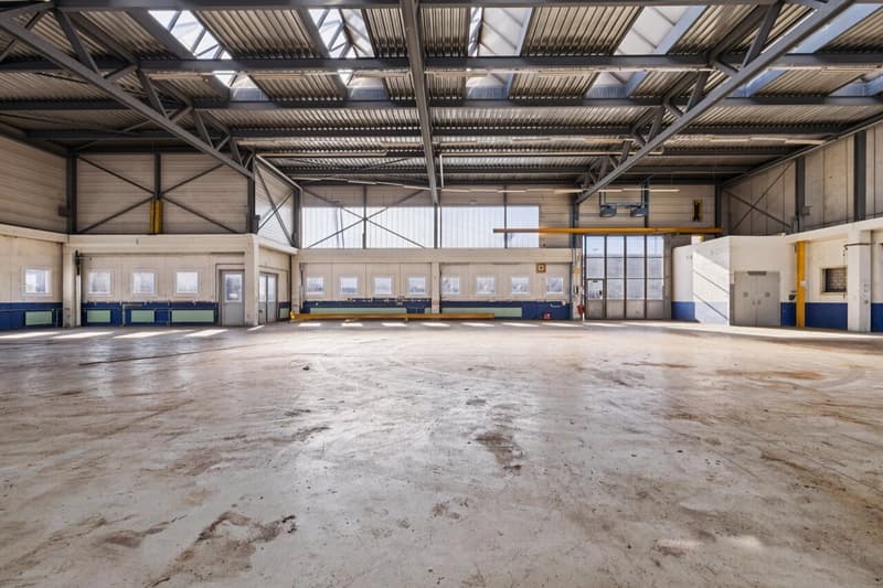 Gewerbehalle ideal für Produktion und Lagerung (5)