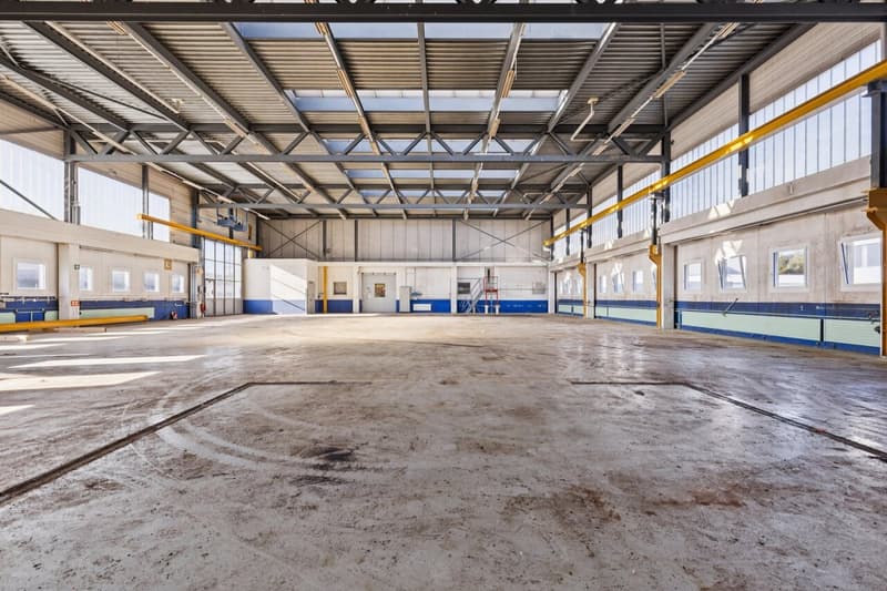 Gewerbehalle ideal für Produktion und Lagerung (3)