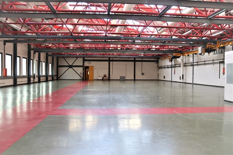 Surface modulable - Hauteur sous plafond 6m - Fort ampérage (2)