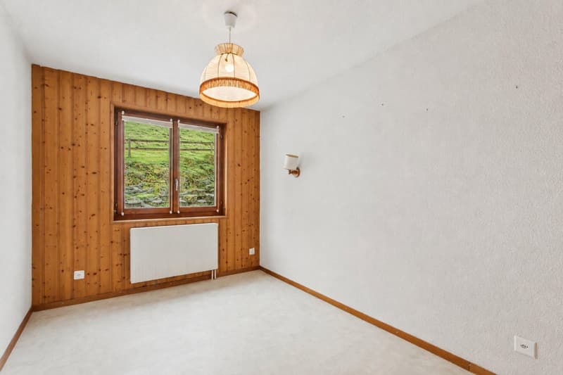 Grand appartement lumineux 115 m² avec magnifique vue sur le Mont-Blan (7)