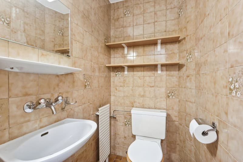 Grand appartement lumineux 115 m² avec magnifique vue sur le Mont-Blan (12)