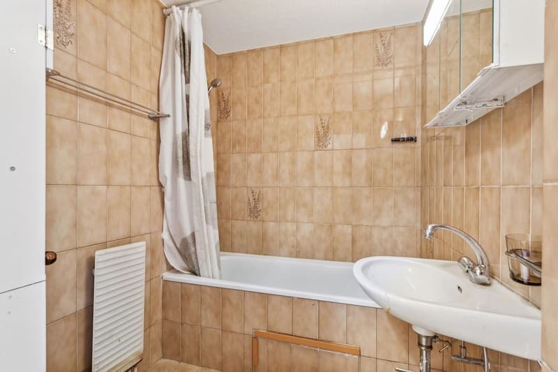 Grand appartement lumineux 115 m² avec magnifique vue sur le Mont-Blan (11)