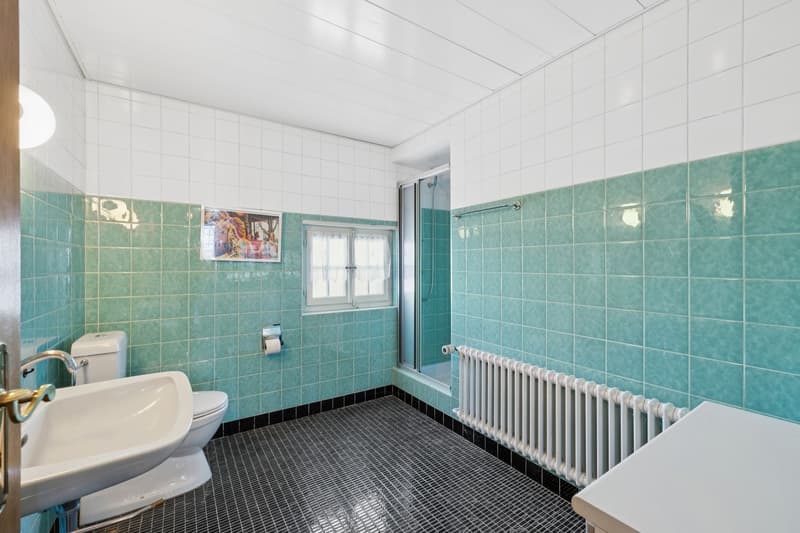 Belle propriété individuelle de 9.5 pièces ! (9)