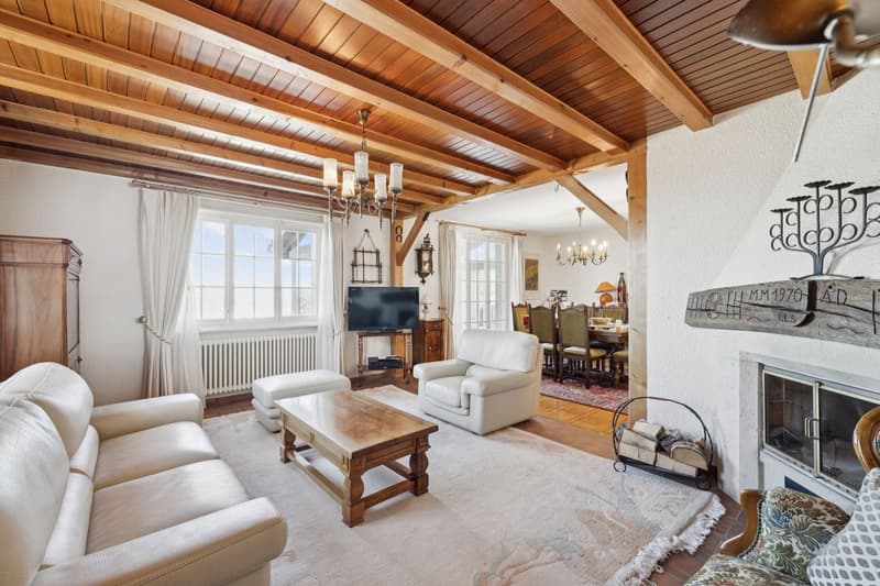 Belle propriété individuelle de 9.5 pièces ! (4)