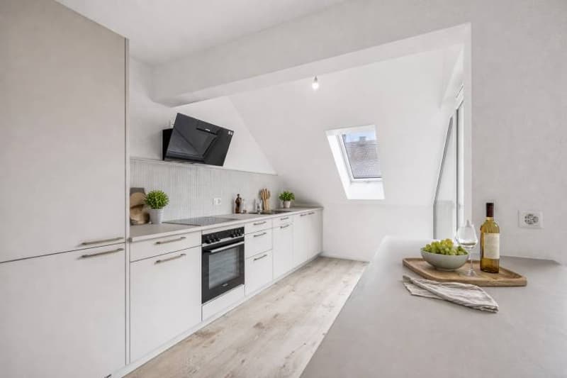 Charmant appartement neuf de 4.5 pièces avec balcon (3)