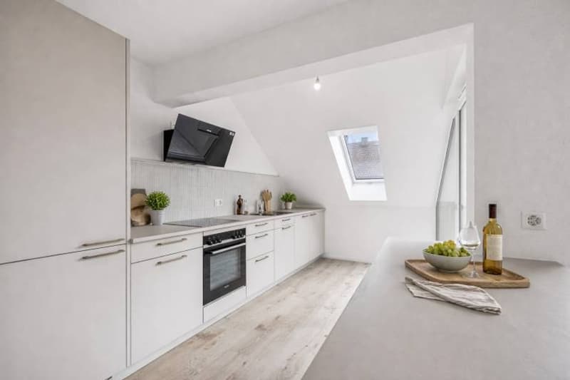 Charmant appartement neuf de 4.5 pièces avec balcon (3)
