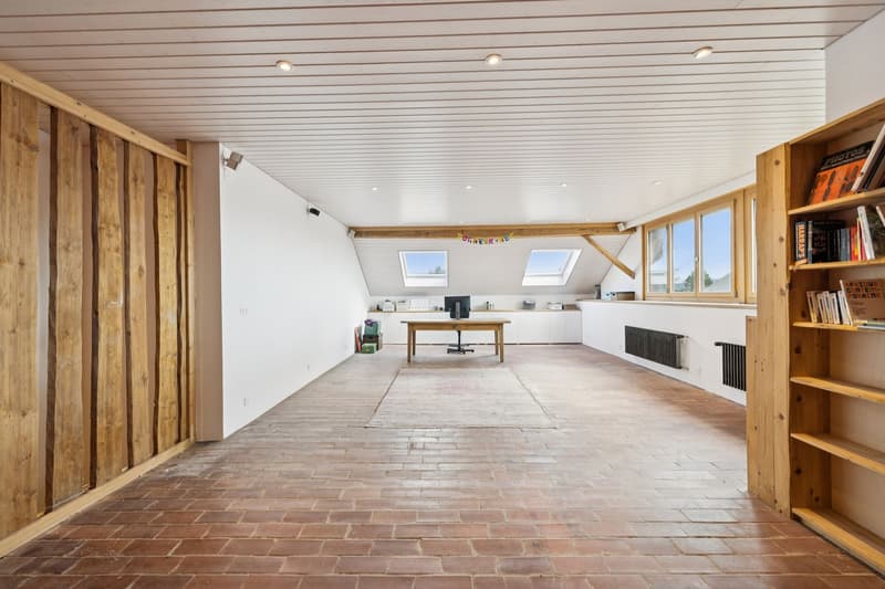Maison villageoise de caractère, potentiel locatif et d'extension (11)