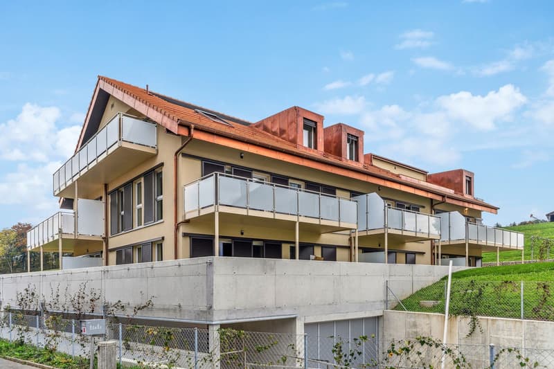Bel appartement familial neuf aux portes d'Yverdon ! (10)