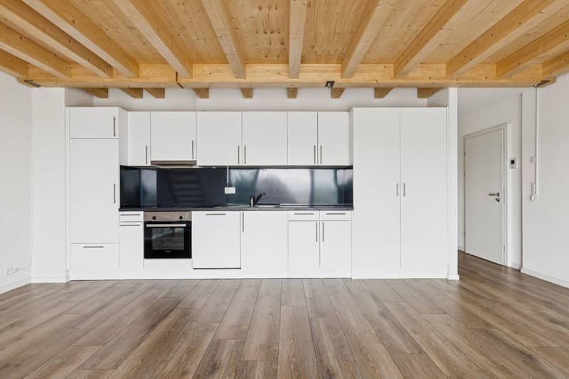 Bel appartement de 4.5 pièces + Mezzanine (7)