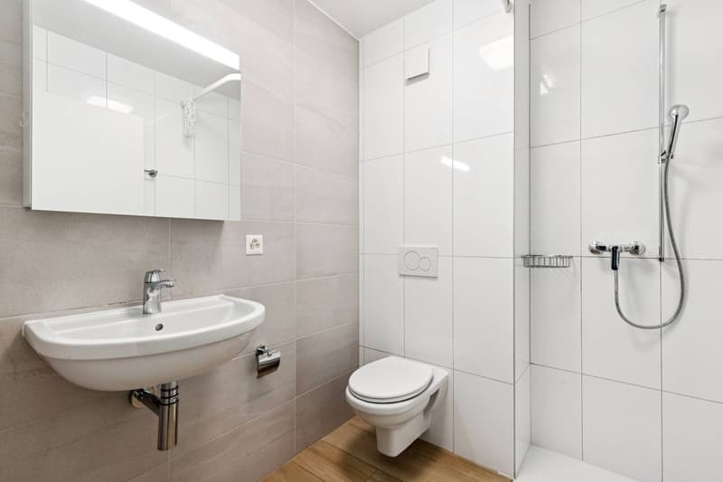 Bel appartement de 4.5 pièces + Mezzanine (11)