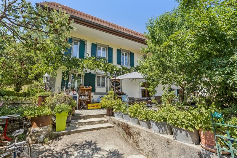 Maison de caractère rénovée aux grands volumes (2)