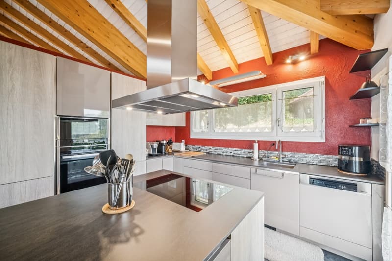 Villa d'architecte contemporaine, volumes spectaculaires, au pied du S (5)