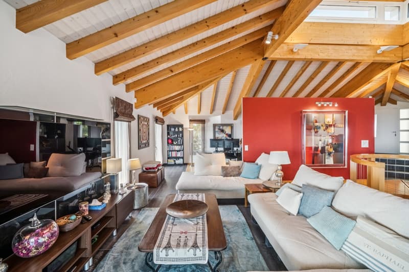 Villa d'architecte contemporaine, volumes spectaculaires, au pied du S (6)