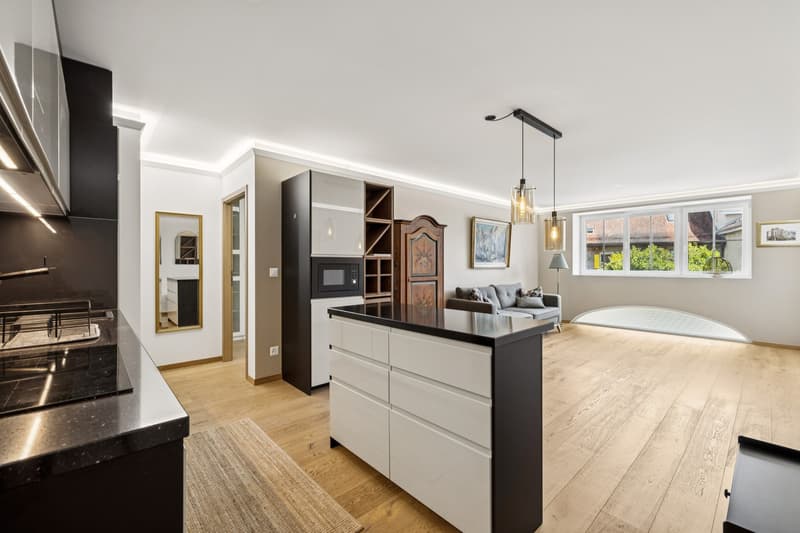 Confort moderne et tranquillité à deux pas de Lausanne (1)