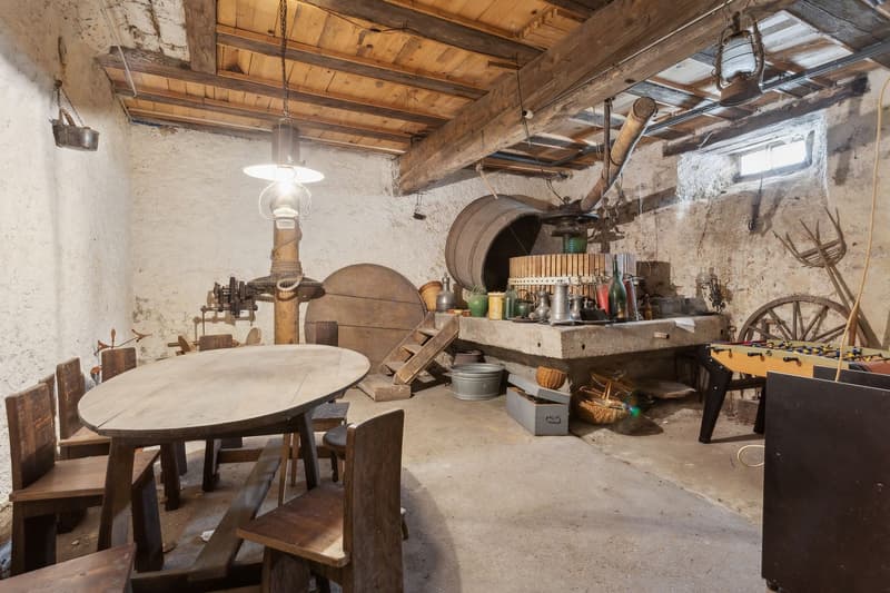 Somptueuse propriété historique sur un domaine viticole ! (13)