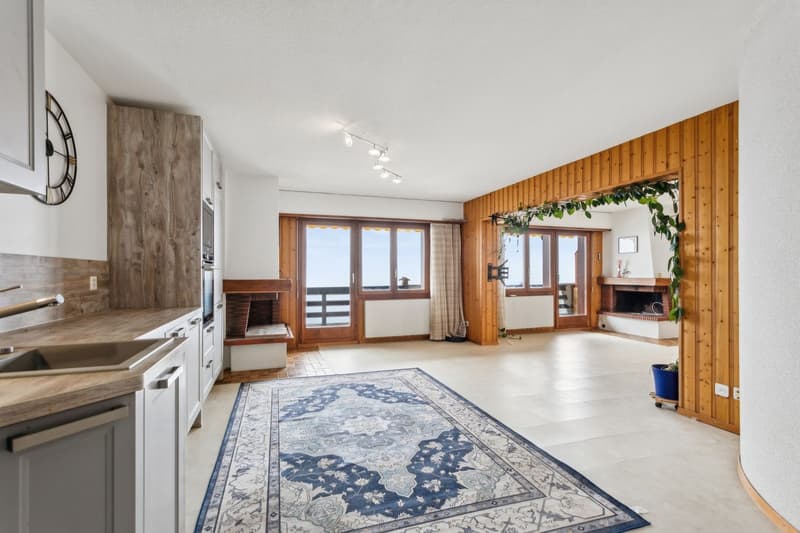 Grand appartement lumineux 115 m² avec magnifique vue sur le Mont-Blan (2)