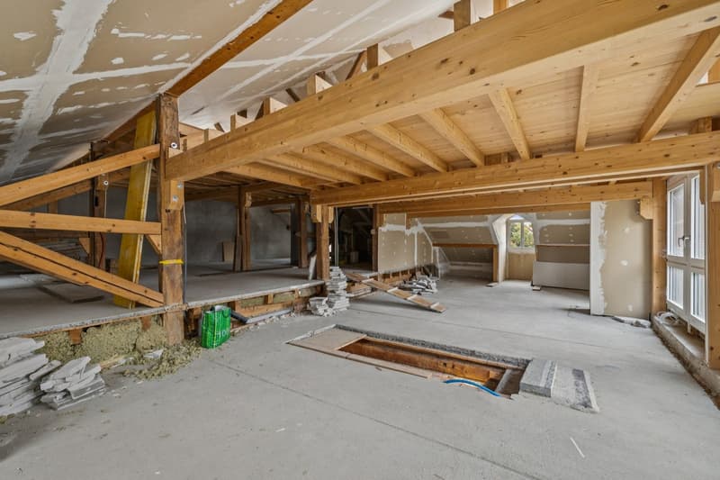Maison villageoise d'exception au coeur de Sullens ! (11)