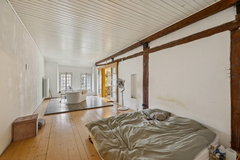 Maison villageoise d'exception au coeur de Sullens ! (6)