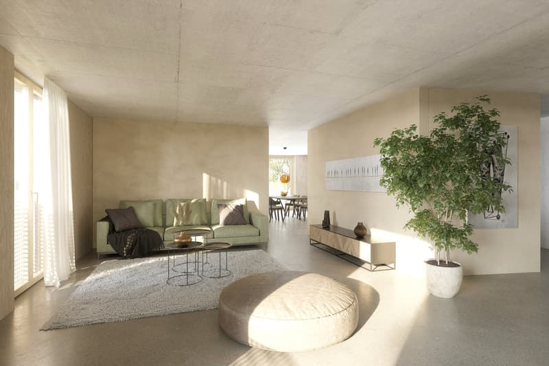 Wohnung MFH C (Ausbau in Variante "Lehmputz")