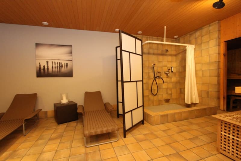2-Zimmerwohnung im Dorfzentrum mit Bewirtschaftung (8)