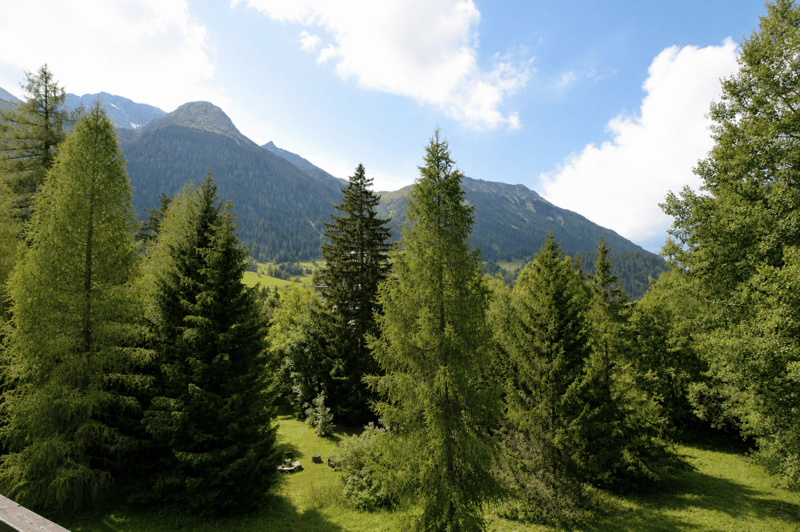 2.5 Zimmerwohnung im idyllischen Bergdorf Bergün (10)