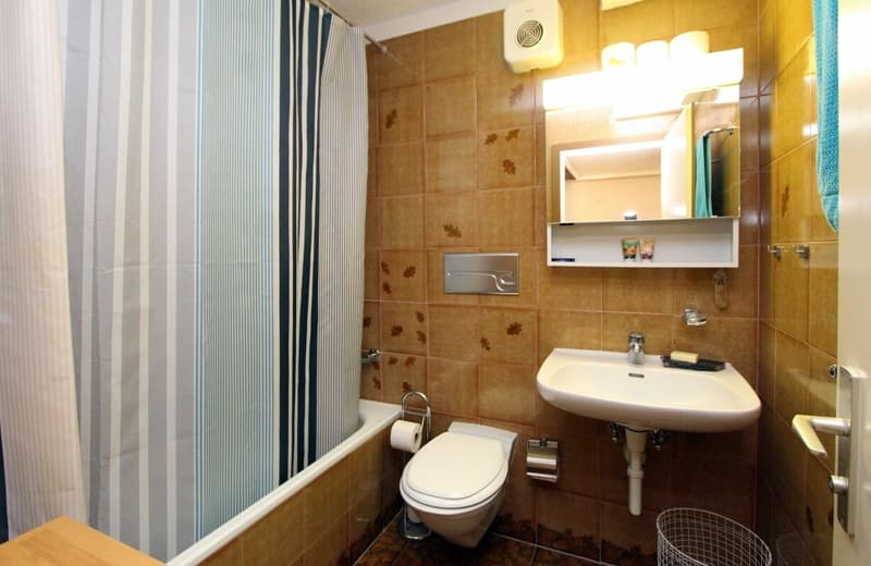 Grosse 2 Zimmerwohnung mit traumhafter Bergsicht (8)