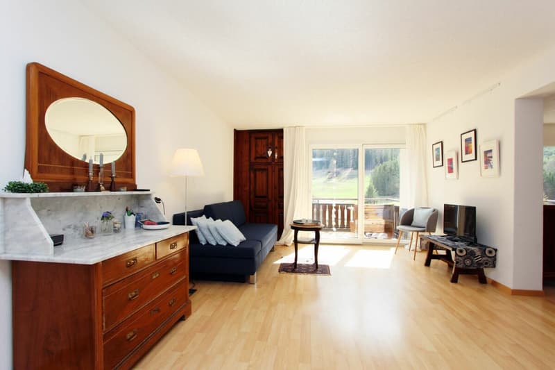Grosse 2 Zimmerwohnung mit traumhafter Bergsicht (2)
